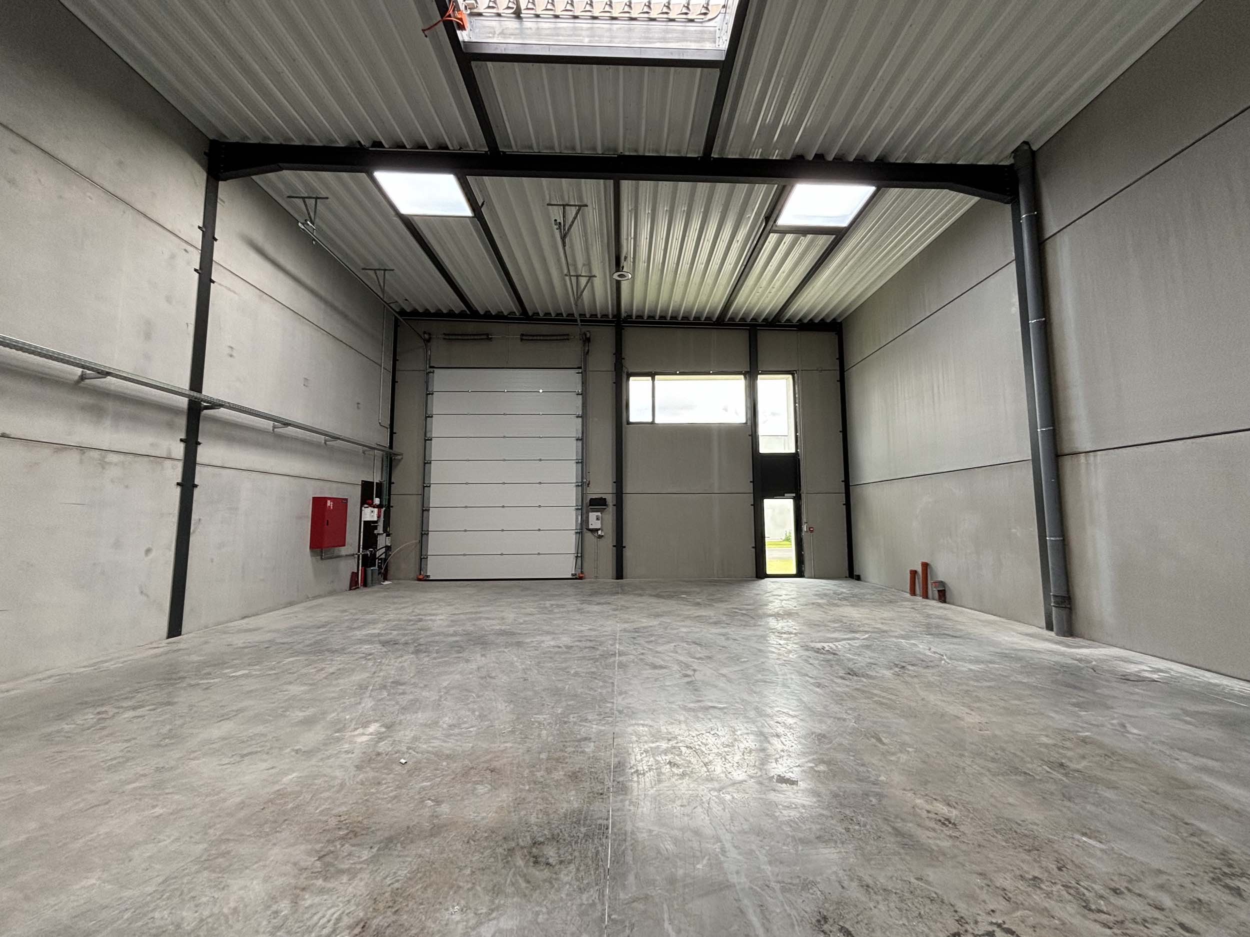 Wildebeek KMO's te huur