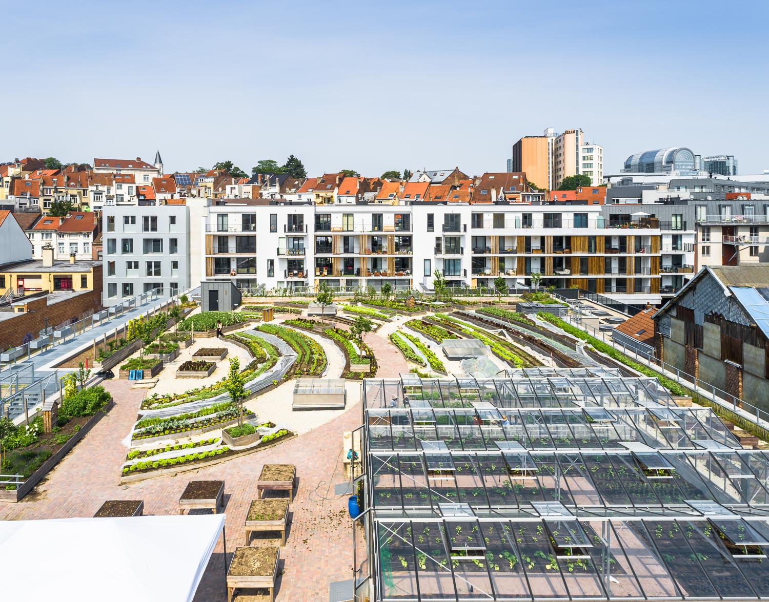 Jourdan Garden Brussel Etterbeek nieuwbouw appartementen daktuin Zabra