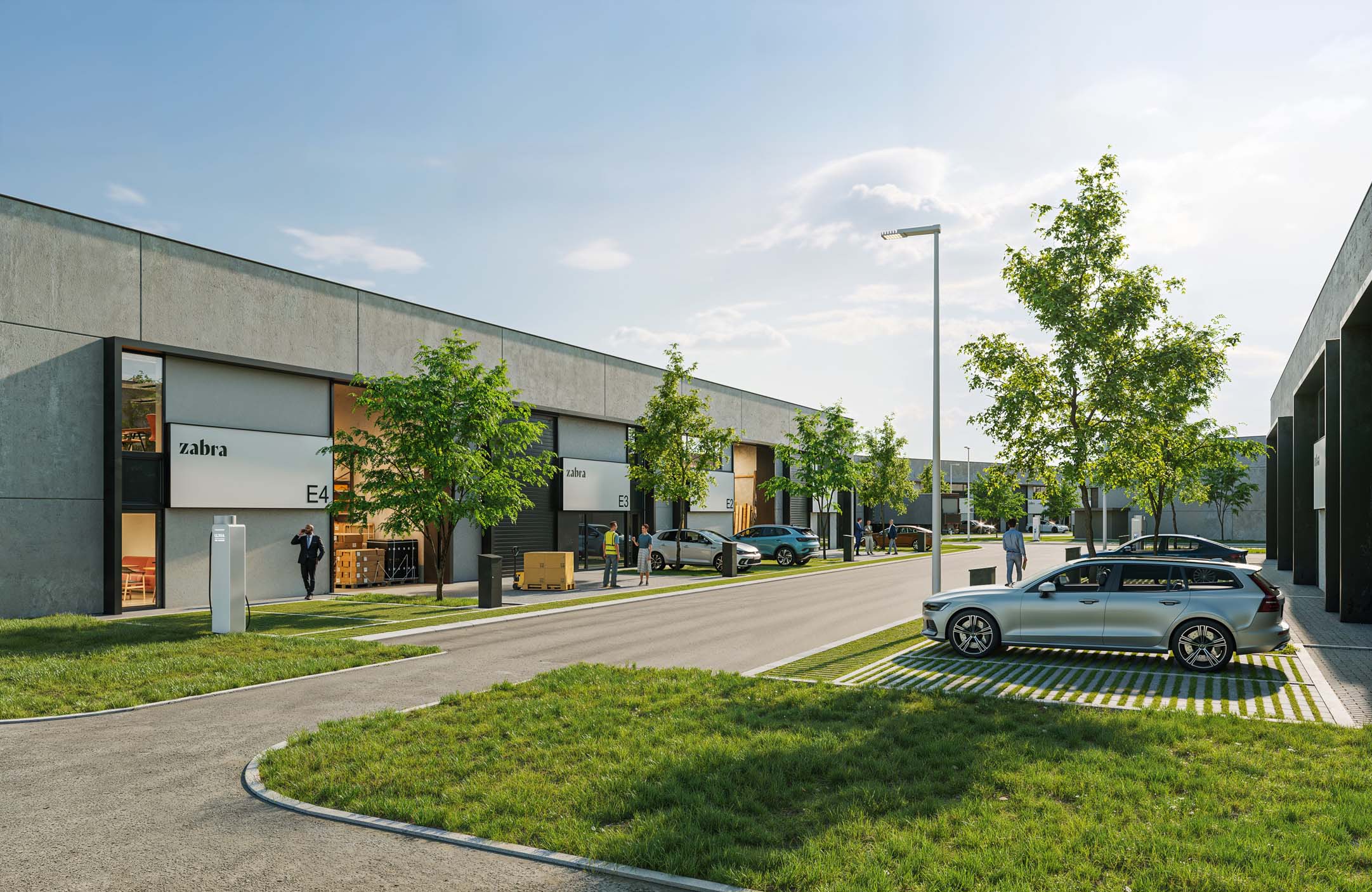 Zabra Wildebeek Aalst Denderleeuw Welle KMO