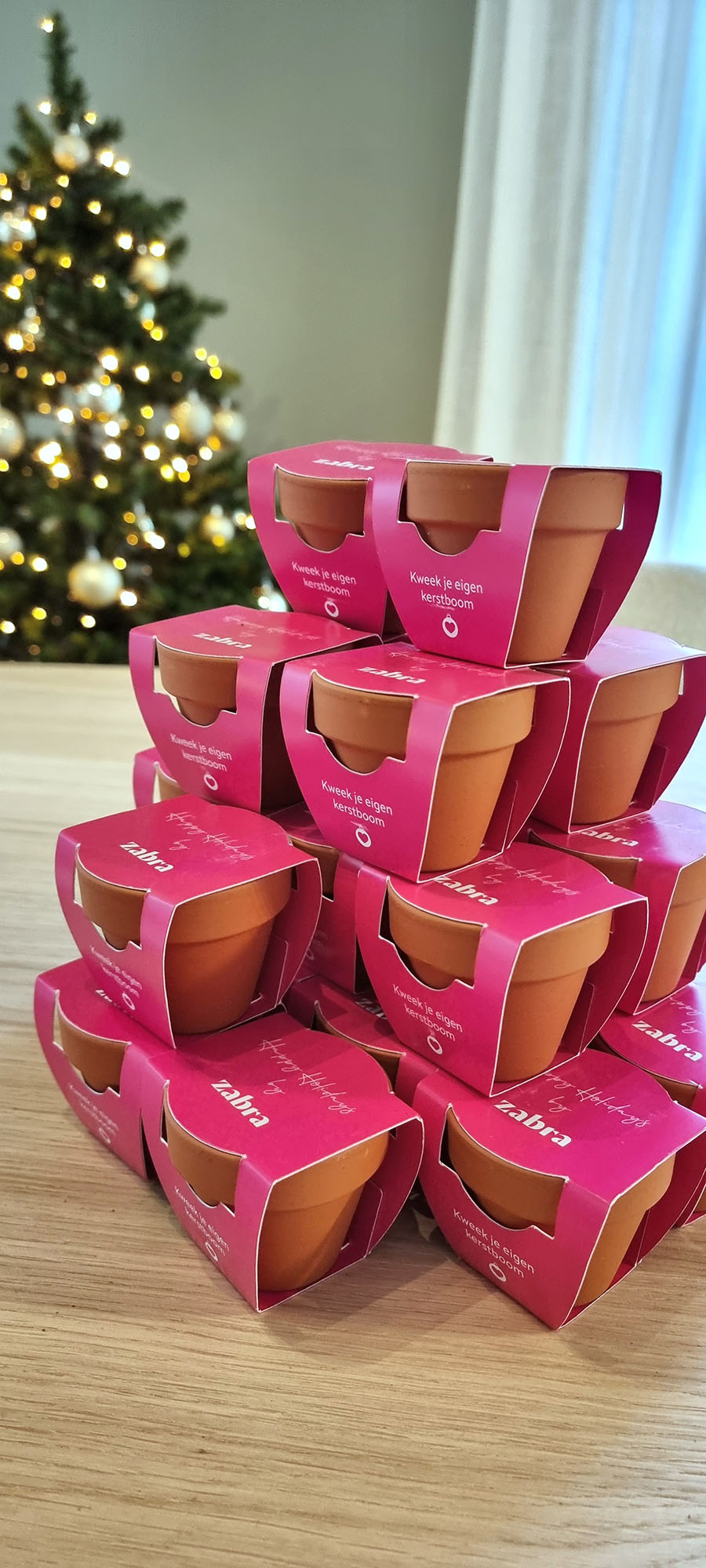 Kijkwoning Gent Zabra opening kerstboom