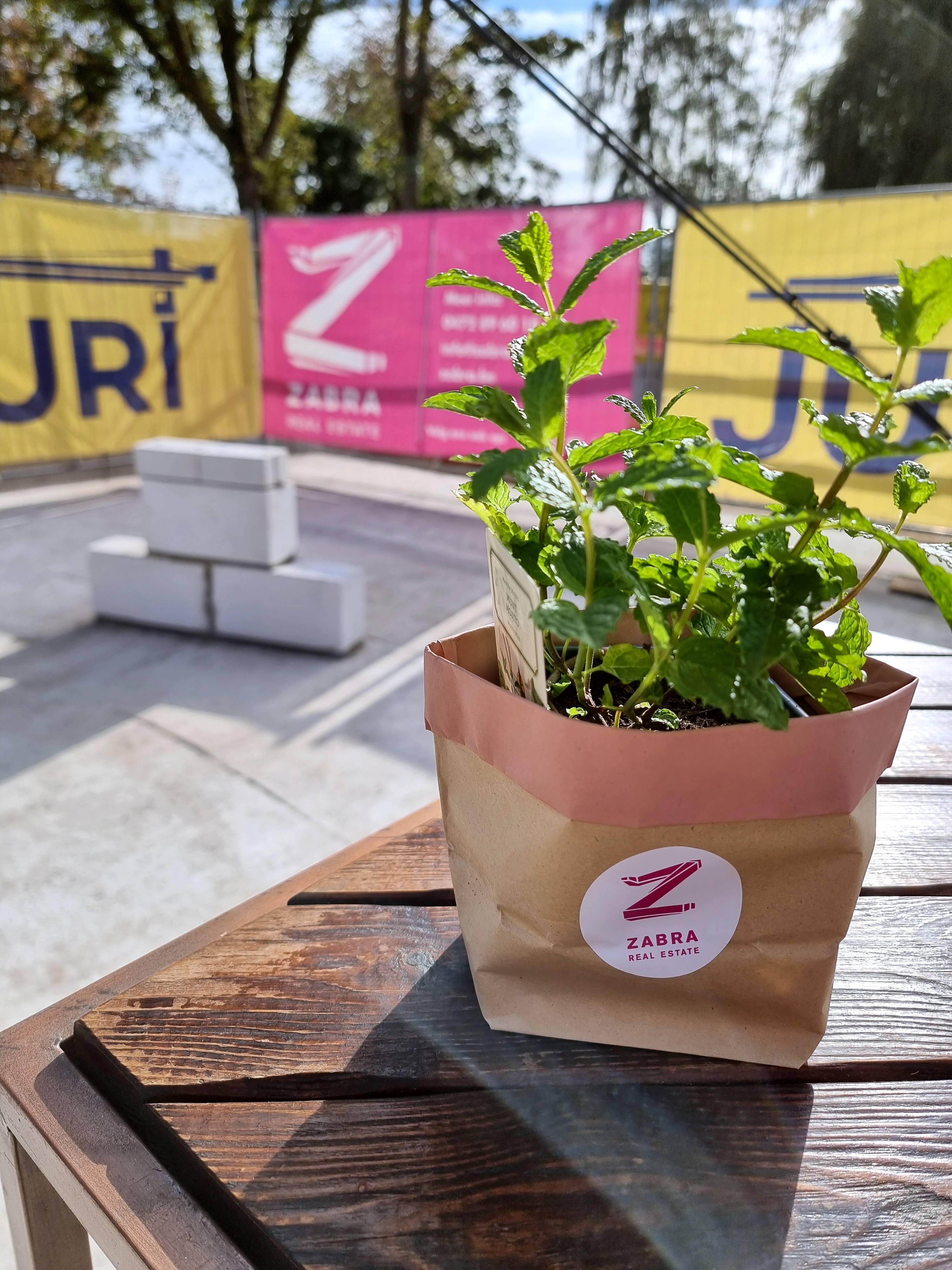 01FJ9BMXTD8THNY38VPTRRTZCS