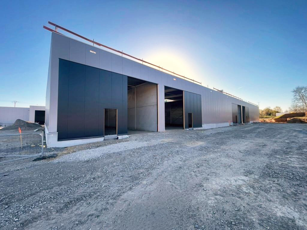 Awans Zabra À Vendre