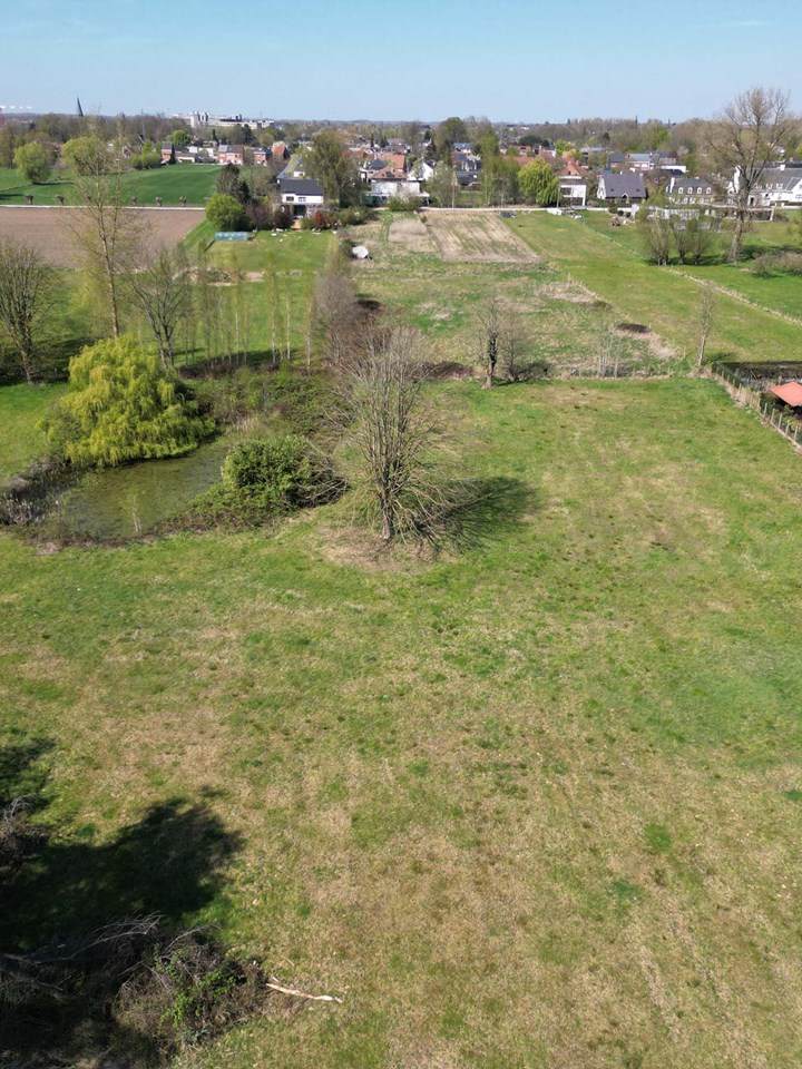 Aalst Immerzeeldreef te koop