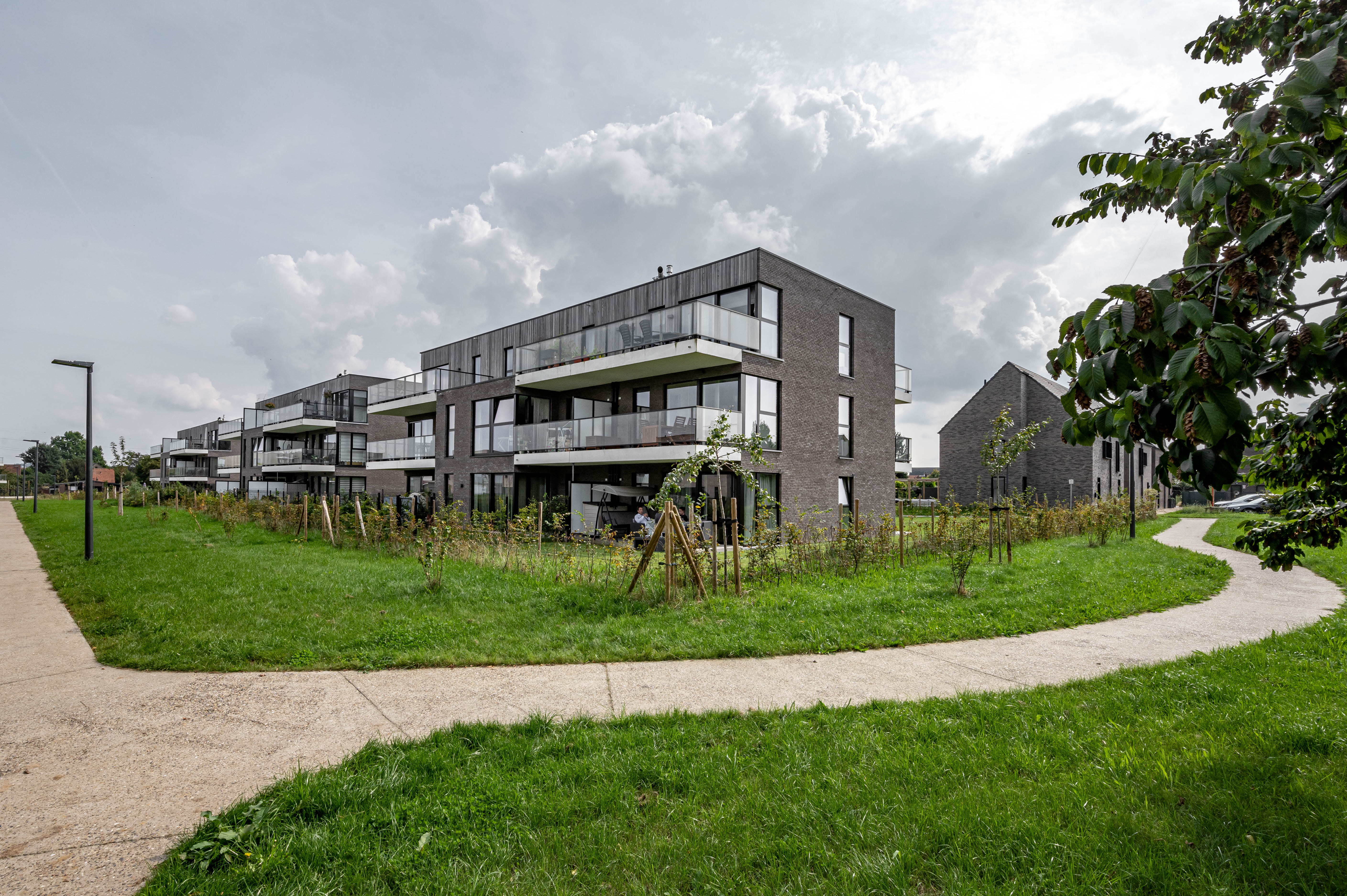 Jau Zabra St Pleeuw 14