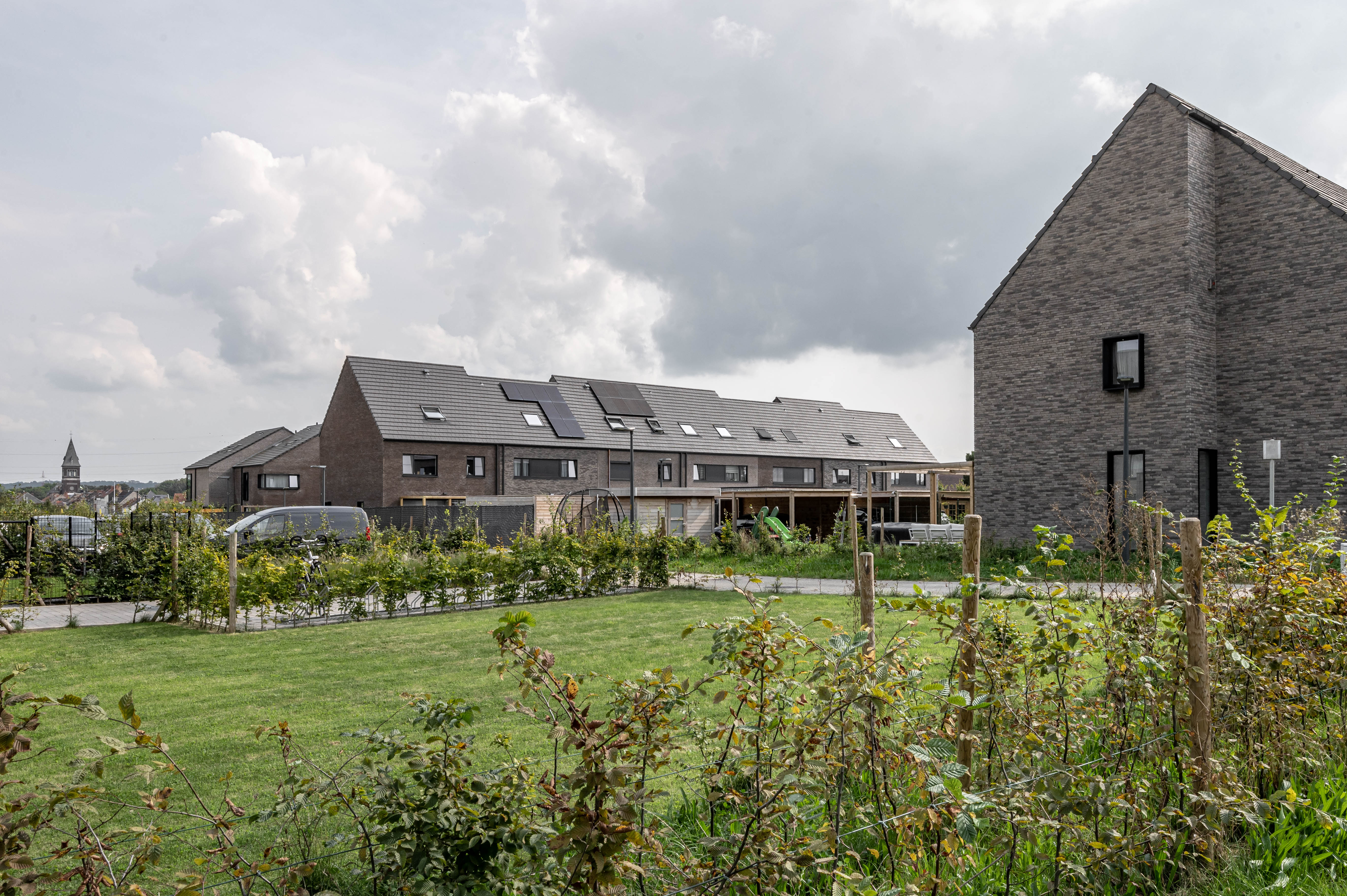 Jau Zabra St Pleeuw 20