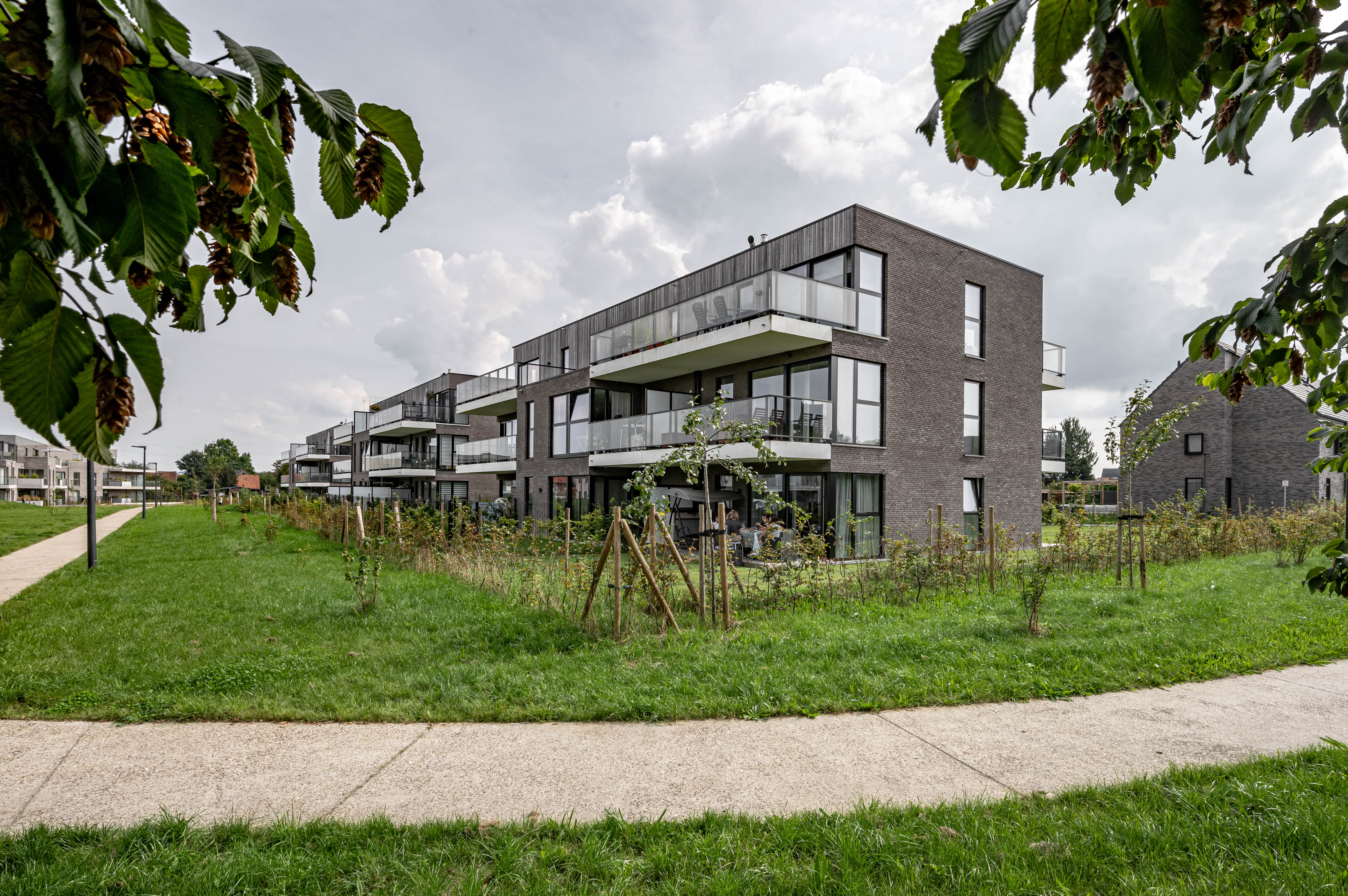 Jau Zabra St Pleeuw 16