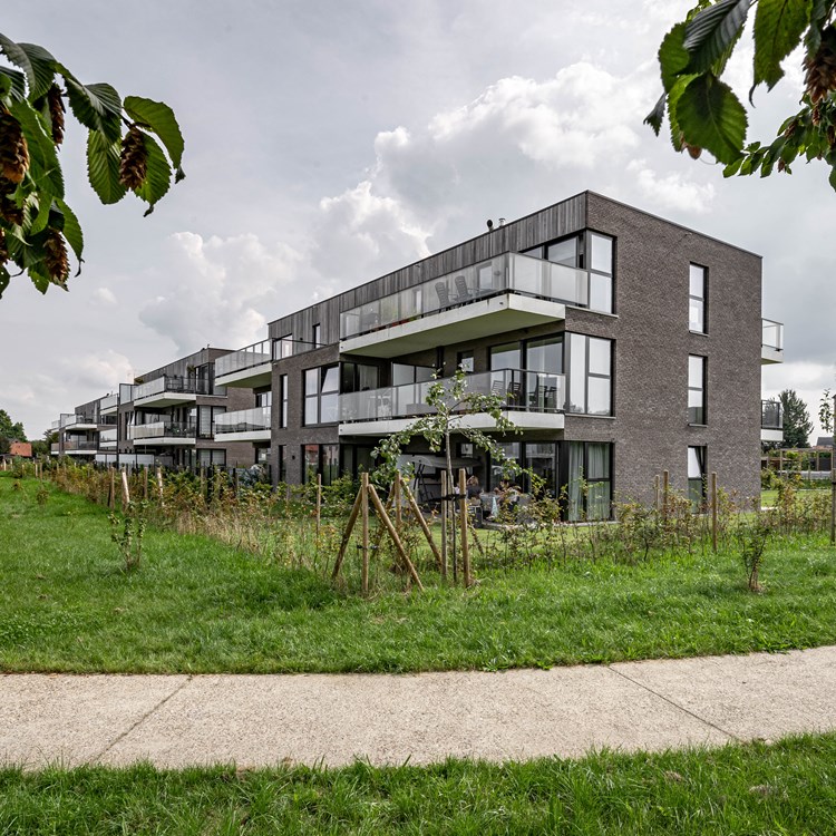 Jau Zabra St Pleeuw 16