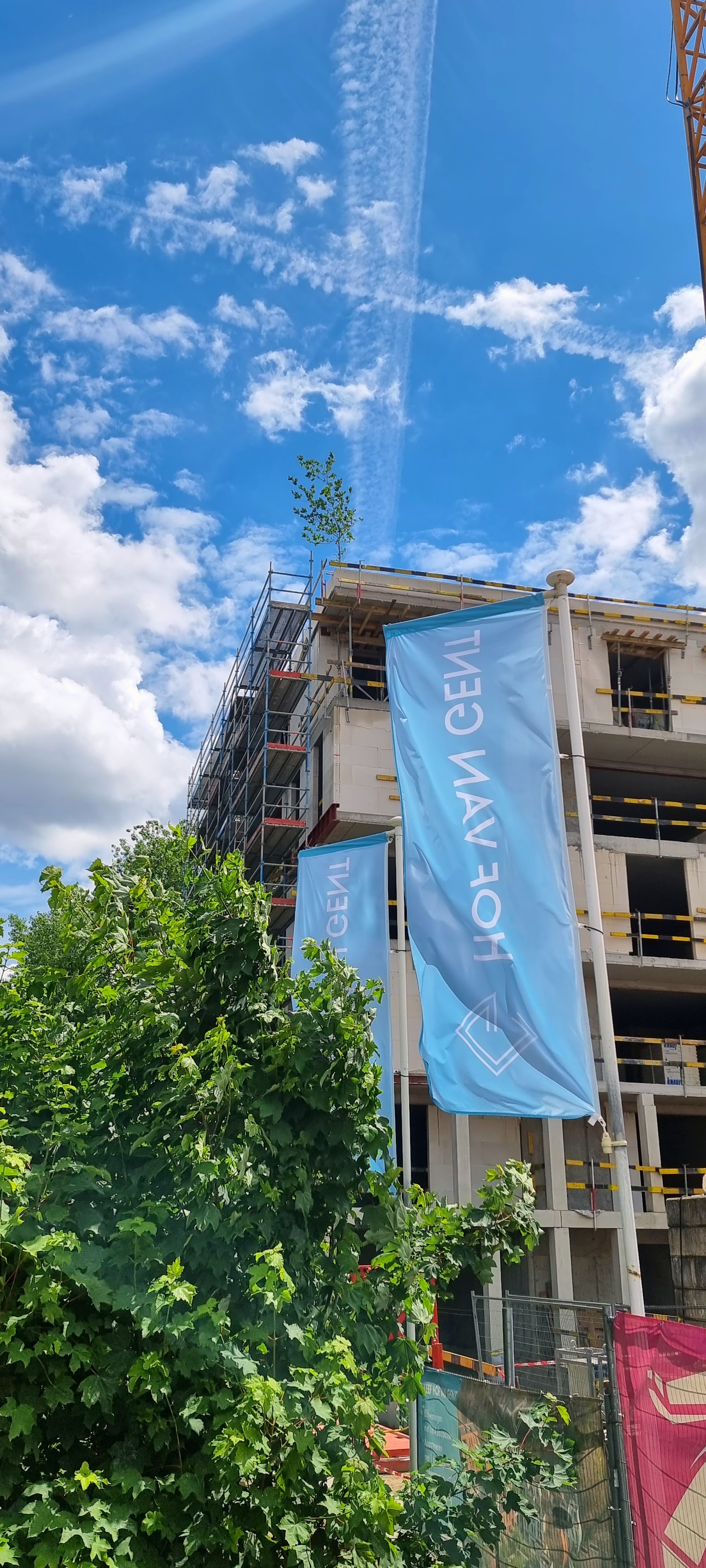 Célébration du mât de mai à Hof van Gent