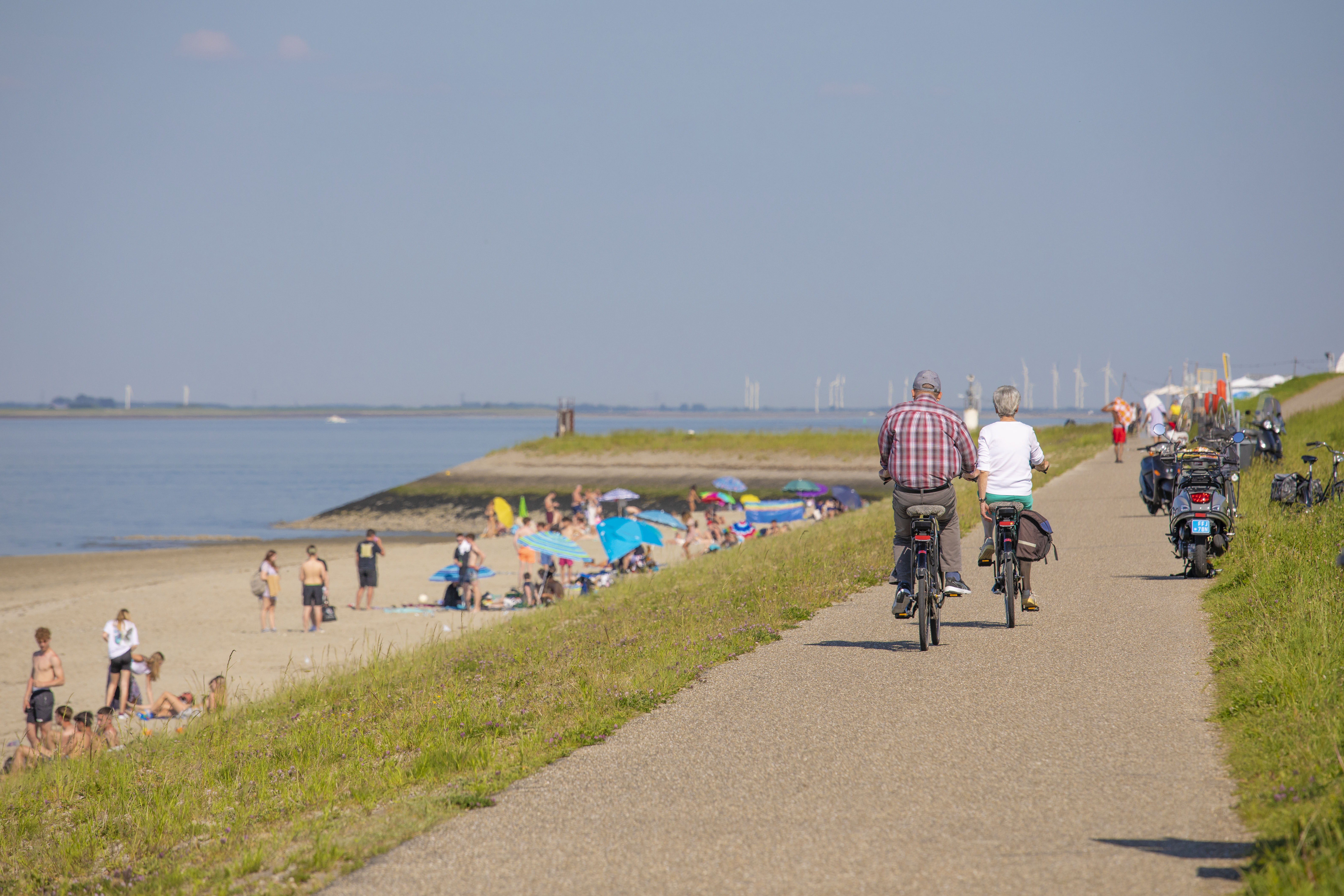 Verkoeling gevraagd! Mag je zwemmen in de Westerschelde?
