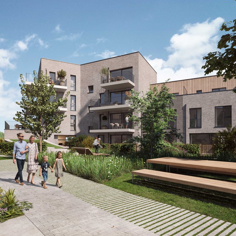 Sint Lambrechts Woluwe Zabra Te Koop (7)