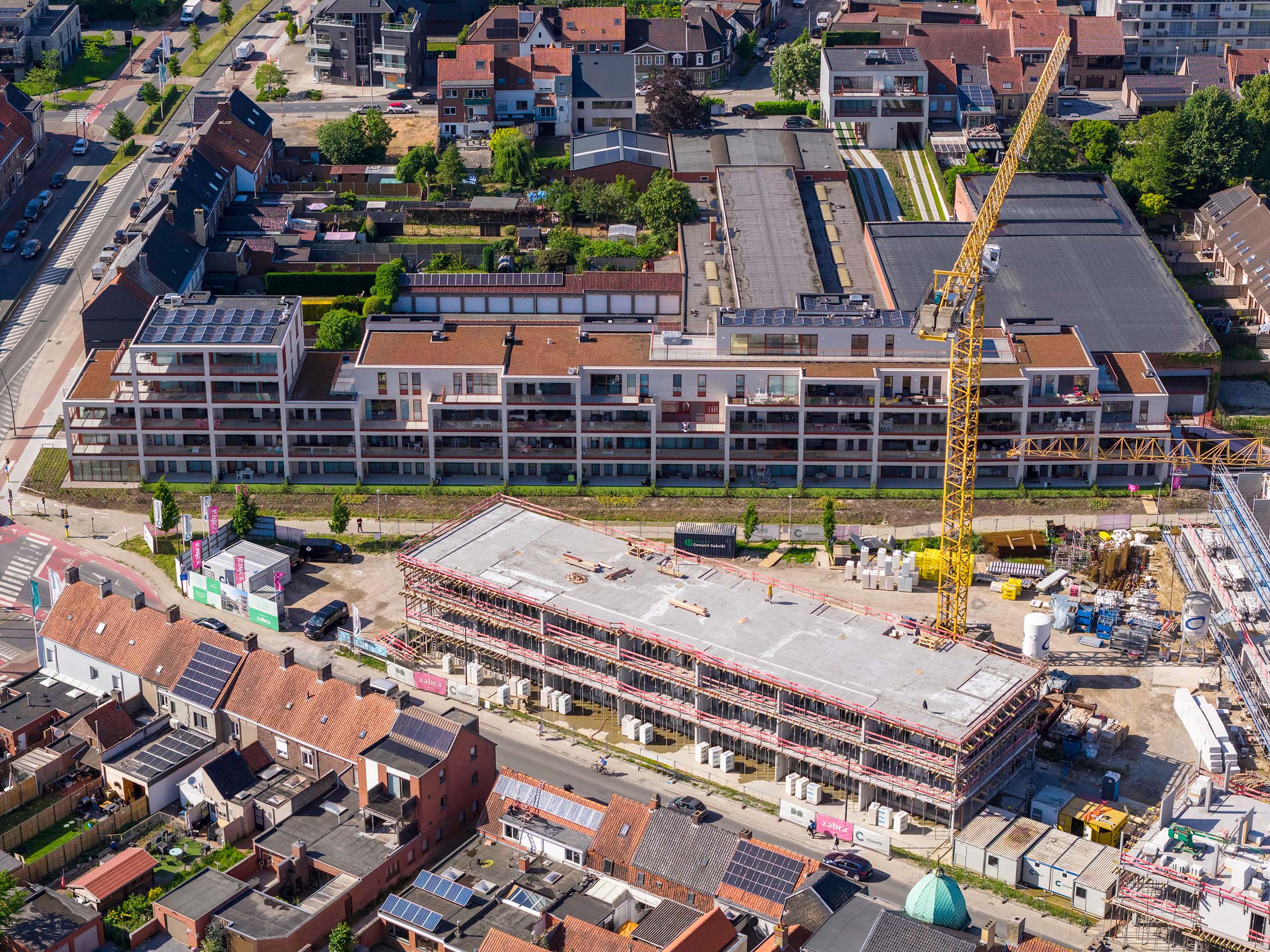 w.e.s.t. Roulers Zabra