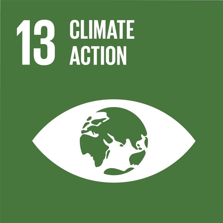 Zabra SDG 13