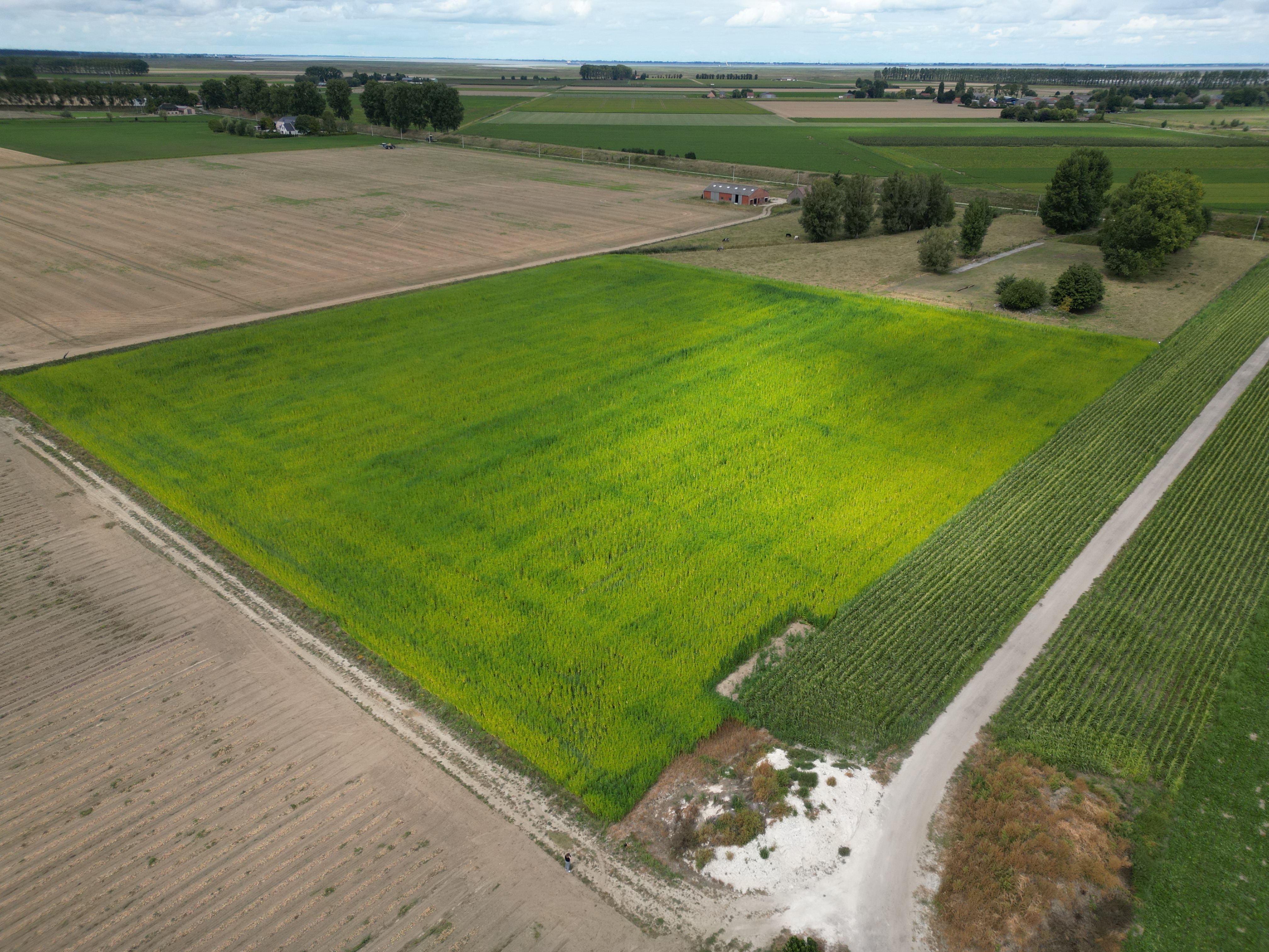 Hennep - duurzame vloerisolatie - Kallo